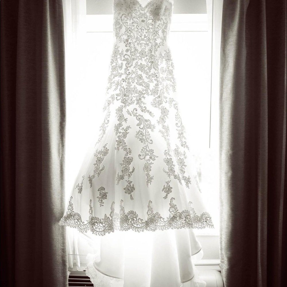 Wedding Dress & veil
